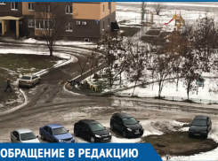 Свора бездомных агрессивных собак набросилась на прохожих в Волгодонске