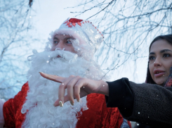 Как не замерзнуть под елкой и не умереть от голода в новогодние каникулы 