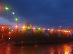 Первый елочный базар уже начал работу в Волгодонске