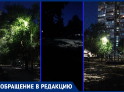 «Все фонари заросли деревьями»: сквер «Дубовая роща» в Юго-Западном районе Волгодонска