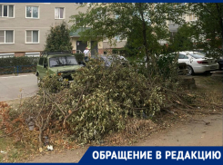 «Спиленные ветки не убираются месяц»: волгодонцы о свалке во дворе на Гагарина