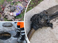 И снова жуткие засоры: волгодонцам напомнили о запрете выливать в унитаз остатки пищи и выбрасывать салфетки