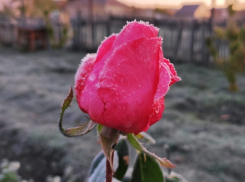 Волгодонск прошел через первый пик холода