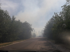 Жаркая погода и палящее солнце стали причиной возгорания сухой растительности в Волгодонском районе