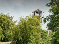 Не пилить, а восстановить: общественники призвали перенести композицию «Лазоревая степь» в центральную часть Волгодонска