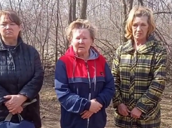 «Деньги на собак давали Дмитрий Певцов и Ольга Орлова из «Блестящих»: зооактивисты потребовали восстановления «собачьего городка» в Шлюзах 