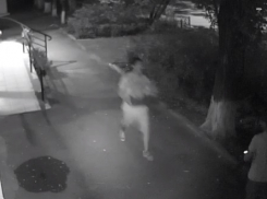 Камера наблюдения сняла, как волгодонцы воруют горшок с цветами у входа в управление здравоохранения 