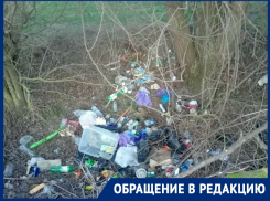 «Свиньи, а не люди!»:  жители Лагутников умудряются разводить свалку при регулярном вывозе отходов