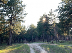 Волгодонцам напомнили о мерах безопасности при отдыхе на природе в майские праздники