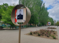 Портреты погибших на СВО военнослужащих разместили на Аллее памяти в Волгодонске