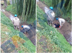 Труп неизвестной пожилой женщины нашли в канаве в Волгодонске 