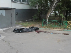 Волгодонец разбился насмерть, выпав с балкона 7 этажа