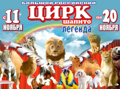 Яркое событие в культурной жизни  Волгодонска – большой российский цирк шапито «ЛЕГЕНДА»