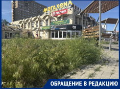 «Волгодонск – моя деревня?»: в центре нового города женщина усомнилась, что она в атомграде 