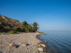 Сегодняшний день в Волгодонске будет солнечным 