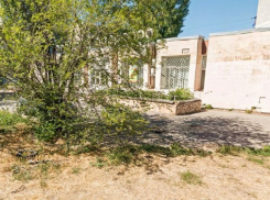 В «старом» городе на месте аптеки «Черемуха» откроют дискотеку для пенсионеров 