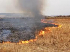 Управление ГОЧС Волгодонска предупреждает о запрете выжигания сухой растительности