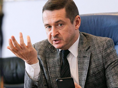 «Мармеладные» владельцы рассчитывают начать строительство нового ТРЦ в самом большом парке Волгодонска уже через год 
