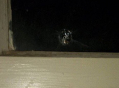 Пуля пробила стекло, когда я вешала белье на балконе, - волгодончанка 