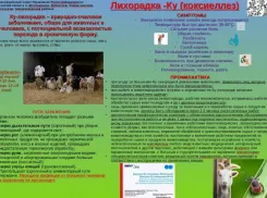 Выпил молоко – словил лихорадку: волгодонцев предупреждают о риске заражения инфекцией 