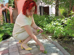 Как избавиться от сорняков между брусчаткой на садовых дорожках