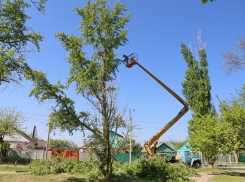 В Волгодонске ветерана Великой Отечественной войны избавили от пуха
