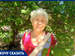 «Сначала во двор прибились 2 собаки, а теперь их 19»: волгодонцы боятся плодящейся стаи на Степной