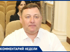 «Перестаньте препятствовать отлову бездомных собак»: директор ДСиГХ обратился с просьбой к волгодонцам