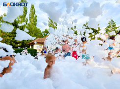 Как дотронуться до пушистых «облаков» не уезжая из Волгодонска