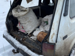 Двое браконьеров ударились в бега в Цимлянском районе, увидев сотрудников Росрыболовства