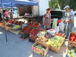 Здесь можно, там нельзя: в администрации Волгодонска уточнили список торговых точек для дачников