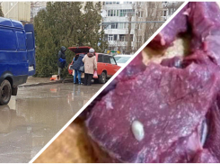 Смертоносные личинки: чем рискуют волгодонцы, покупая мясо «из багажника»