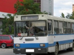 Общественный транспорт в День города отвезет горожан к фестивальной площадке и обратно