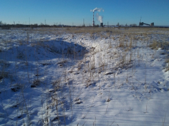 Проект строительства маслозавода за «Атоммашем»  в Волгодонске свернули из-за сложных экономических условий  