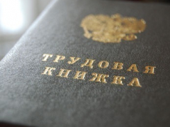 «Ситуация на рынке труда Волгодонска сложная, но не кризисная» - директор Центра занятости Александр Кузьмин