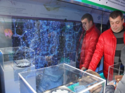 Порядка восьми тысяч волгодонцев побывали в выставочном поезде РЖД  