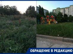 «Свалки мусора, высокая трава и переполненные урны»: волгодонцы показали забытую всеми территорию города