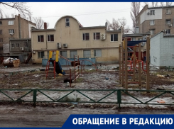 «За три года здесь не было дворника»: волгодончанка шокирована двором на Ленина
