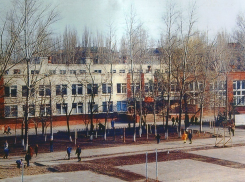 В одной из школ Волгодонска с родителей собирали деньги на установку новогоднего баннера  