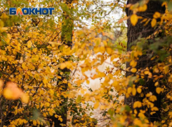 Сегодня в Волгодонске будет облачно