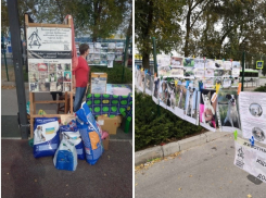 Волгодонцы помогли бездомным животным едой и деньгами