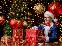 Как будет работать МФЦ в Волгодонске на новогодние праздники