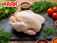 Товар дня: цыпленок бройлер всего за 247₽