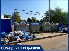 Около лучшей детской площадки Волгодонска появились «двухнедельные горы» мусора