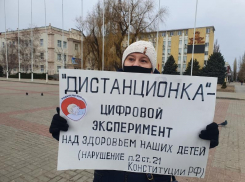 «Поколение будет потеряно»: пикет против дистанционного обучения прошел в Волгодонске