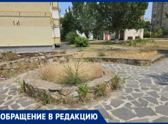«Вместо клумбы с цветами – клумба сорняков и сухой травы»: житель недоволен благоустройством города
