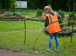 В Волгодонске зафиксировали нарушения трудовых прав детей