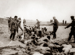  «Фашисты расстреляли всех мужчин на хуторе, а детей и женщин спасла немка»: житель Волгодонска