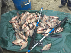 Под Волгодонском рыбинспектора и его друга задержали за браконьерство