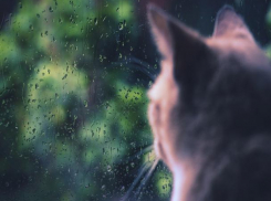 Небольшой плюс и пасмурное небо ждут волгодонцев в последнее воскресенье марта 